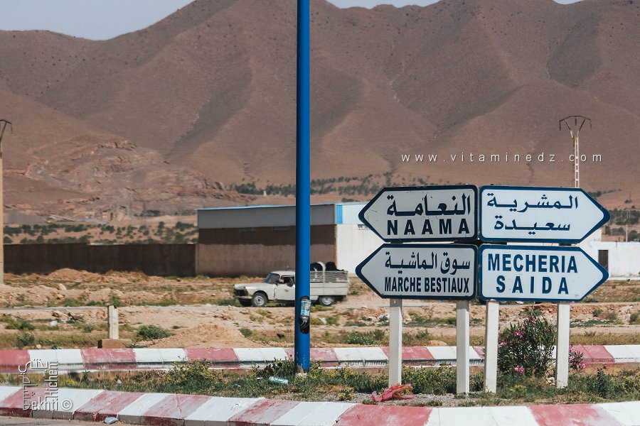 Le marché des bestiaux en Algérie