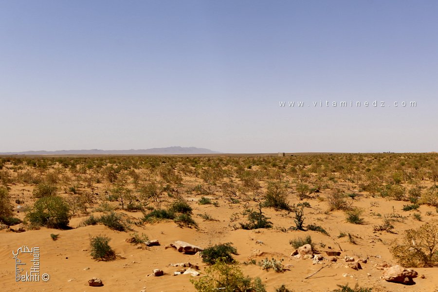La Zone Steppique au Sud de Mécheria et le Djebel Antar : Un Aperçu des Hauts Plateaux Algériens
