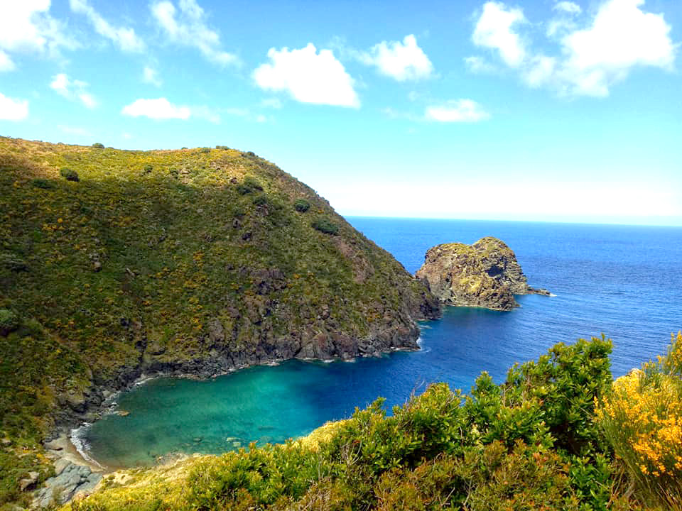 Algérie (Skikda)  - Réserve naturelle des monts Edough El Marsa: Adoption du schéma directeur de gestion