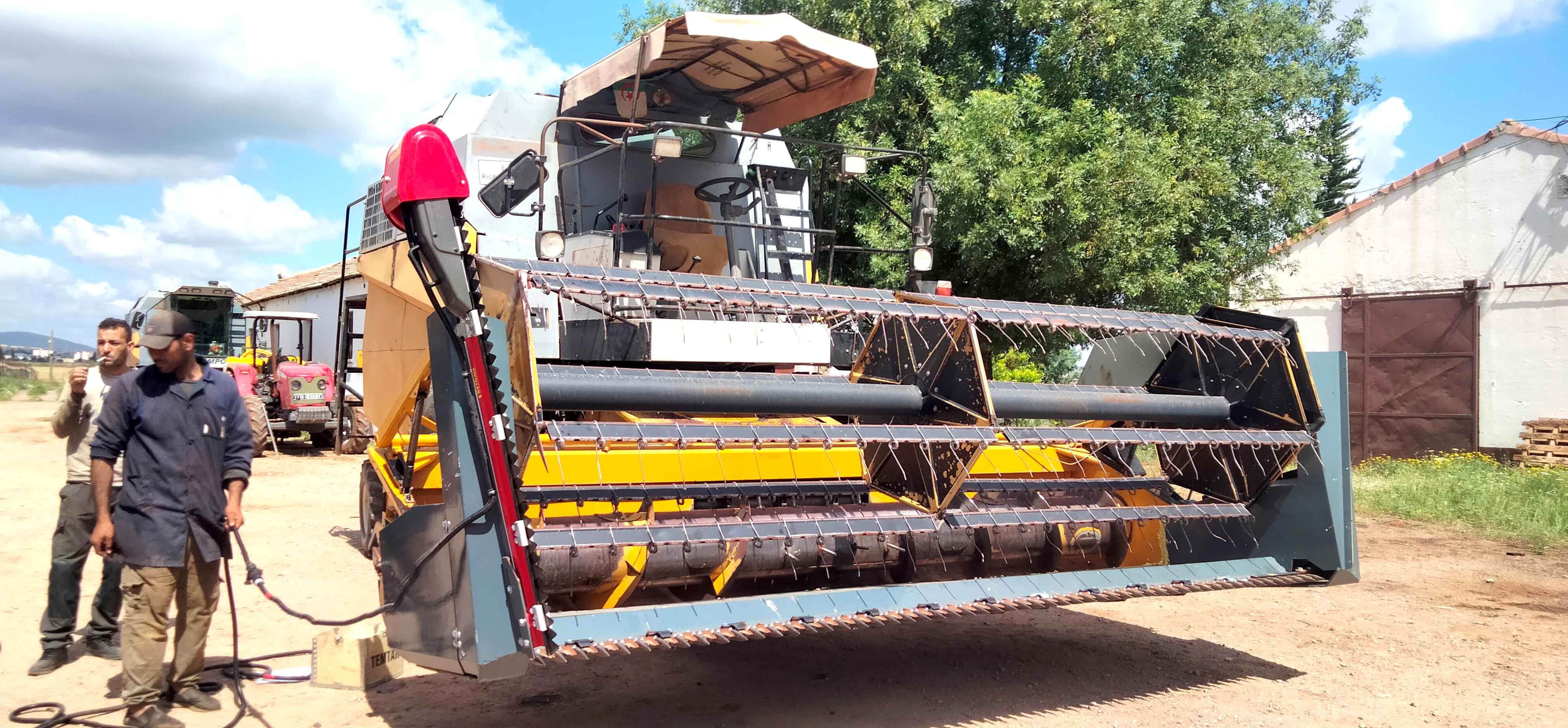 Algérie (Belkheir/Guelma) - Culture du colza: L’UPA Richi Abdemadjid entame la multiplication des semences