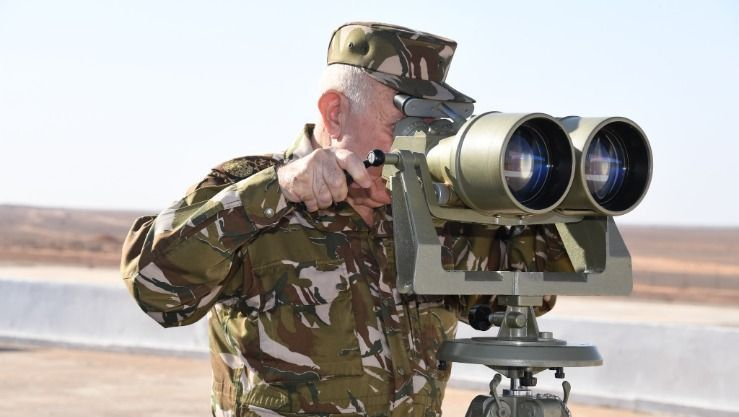 الفريق أول شنقريحة يشرف على تنفيذ تمرين تكتيكي بالذخيرة الحية 