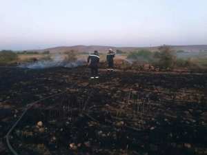 سعيدة : حريق يأتي على  هكتارين من الشعير