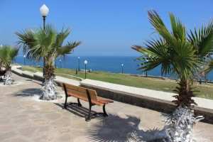 Algérie (Boumerdès) -  Le jardin Ennasr se dégrade:   Conçu sans arbre, un phénomène national mais des palmiers exotiques *