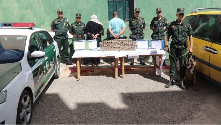 الدرك الوطني بسعيدة يُحبط محاولة تهريب أكثر من 30 كلغ من الكيف المعالج ويوقف مشتبهين