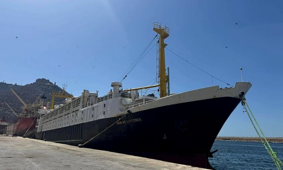 Oran: arrivée d'un navire transportant des ovins en provenance de Roumanie