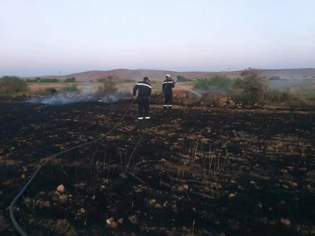 سعيدة : حريق يأتي على  هكتارين من الشعير