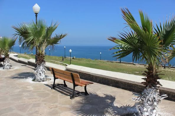 Algérie (Boumerdès) -  Le jardin Ennasr se dégrade:  