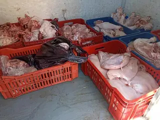 سنتان حبسًا نافذًا وغرامات ضد 4 متورطين في الغش بالامتحانات في غليزان