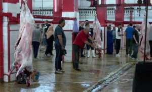 الجزائر العاصمة: مذبح الحراش يسخر كافة الوسائل المادية والبشرية لاستقبال أضاحي المواطنين