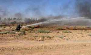 عين الدفلى: تكثيف الحملات التحسيسية حول حماية الغابات من خطر الحرائق