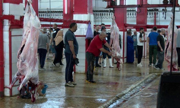 الجزائر العاصمة: مذبح الحراش يسخر كافة الوسائل المادية والبشرية لاستقبال أضاحي المواطنين