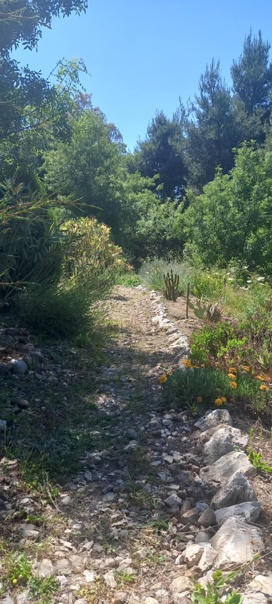 Algérie (Guelma) -  Plus de 100 espaces verts classés