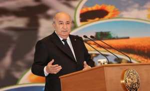 Début de la campagne moisson-battage dans les wilayas du nord, indicateurs annonciateurs d'une récolte abondante