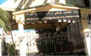 Bonnes nouvelles pour les femmes au foyer