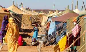 Journée mondiale des réfugiés: le HCR Algérie appelle à la solidarité et à l'action en faveur des réfugiés sahraouis