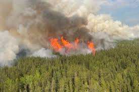 Planète (Amérique du Nord) - Le Canada peine à endiguer les immenses feux de forêt