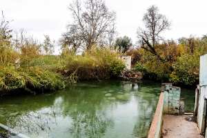 حمام سيدي العبدلي: محطة استشفائية في حالة خراب بولاية تلمسان