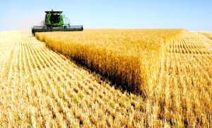 Campagne moisson-battage : des résultats  encourageants  enregistrés depuis  le début de l'opération