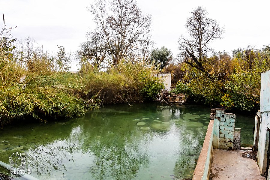 حمام سيدي العبدلي: محطة استشفائية في حالة خراب بولاية تلمسان