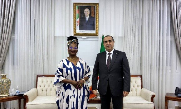 Sonelgaz : examen des perspectives de coopération avec la Commissaire aux infrastructures et à l'énergie de l'UA