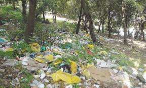 Algérie (Mila) -  Nettoyage des points noirs dans les forêts