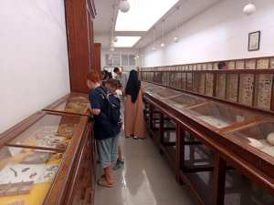 متحف أحمد زبانة بوهران: أزيد من 12 ألف زائر استمتعوا بمجموعات تنبض بالتطور التكنولوجي