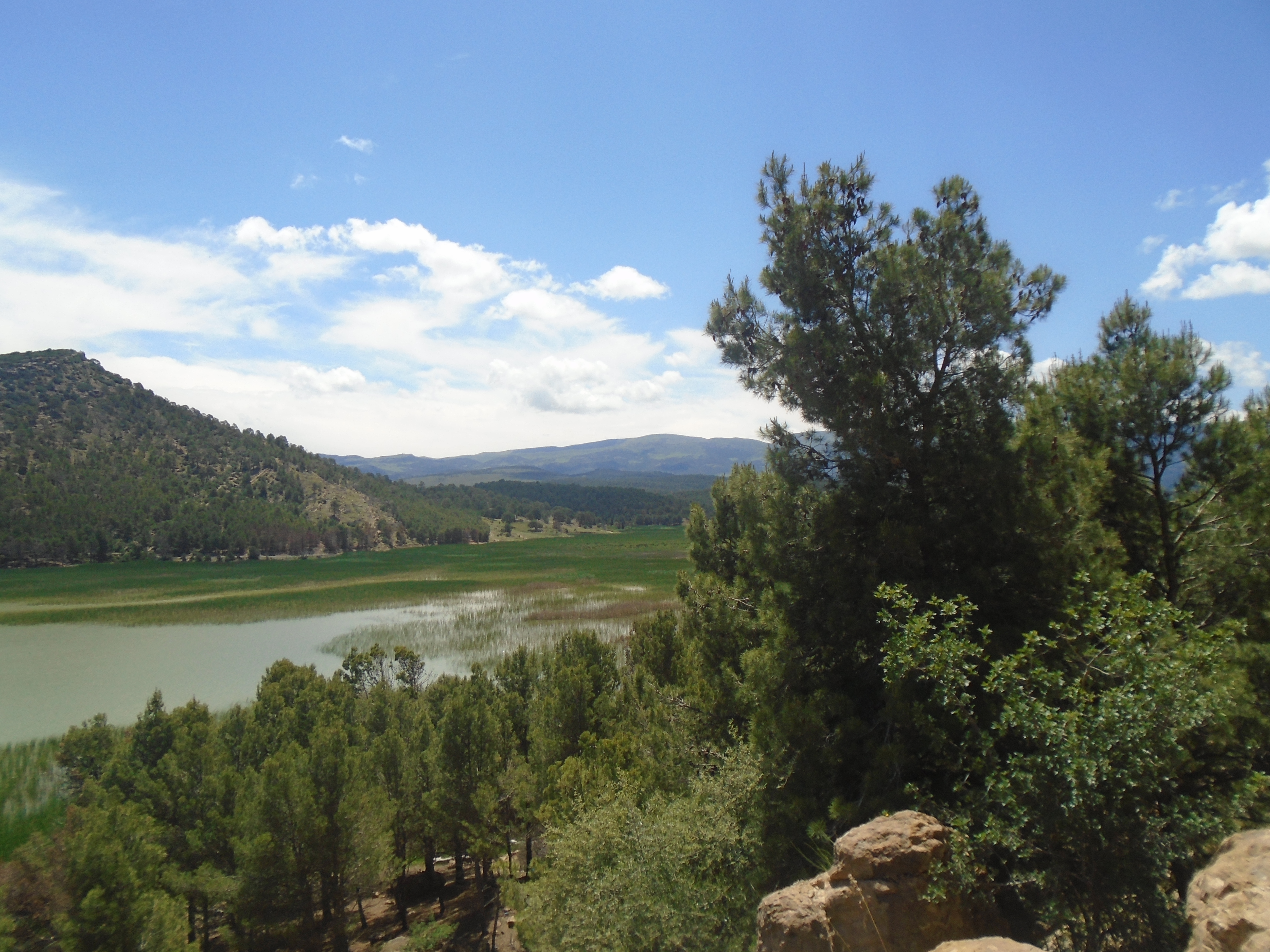Algérie (Khenchela) -  Quatre forêts récréatives à aménager