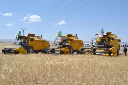 Algérie (Timgad/Batna) - Moisson-battage: Les indicateurs au vert