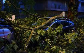 Planète (Europe) - En images: Eclairs, rafales de vent, arbres fracassés… Quand la France est balayée par des orages