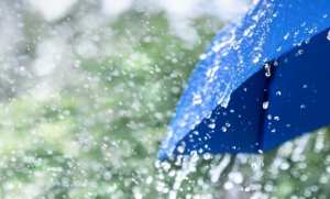 Des pluies orageuses attendues jeudi sur plusieurs wilayas de l'Est du pays