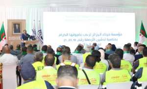 Port d'Alger : remise en service de trois quais pour renforcer le  traitement des conteneurs