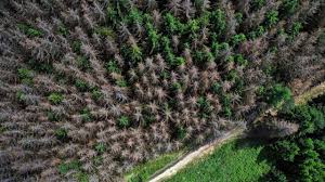 Planète - Réchauffement climatique: «le pire est à venir», alerte le Giec