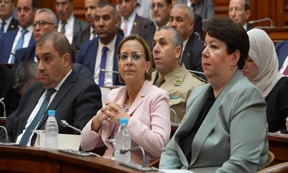 Conseil de la nation: adoption à la majorité du texte de loi régissant les activités minières