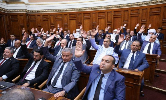 Conseil de la nation: adoption du texte de loi sur les assurances sociales portant prolongation du congé de maternité