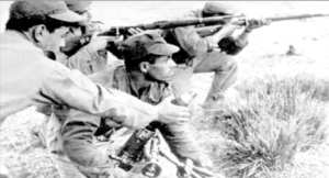 Epopée dans l'histoire de la lutte armée contre le colonisateur français