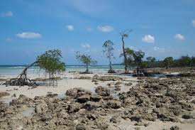 Planète - Une zone humide sur cinq risque de disparaître d’ici 2050