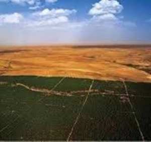 محافظة الغابات  بالبيض بعث  برنامج السد الأخضر  عبر 16 بلدية