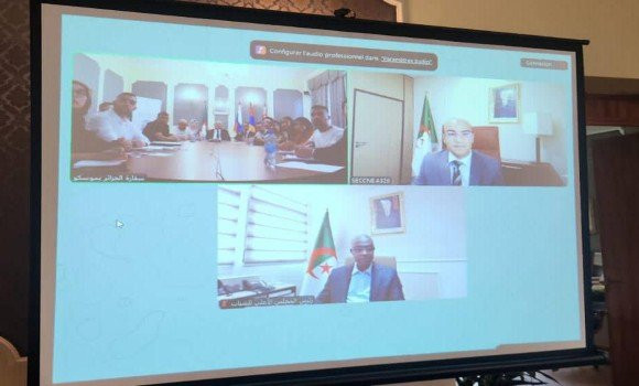 Chaib et Hidaoui participent à une rencontre virtuelle au profit des  jeunes de la communauté nationale à l'étranger