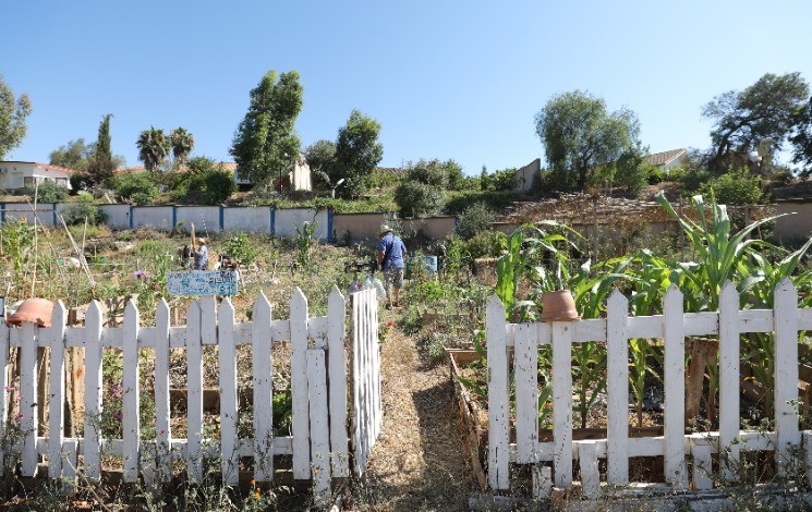 Algérie (Douera/Alger) - À travers ses jardins partagés, Torba cultive le manger sain et le vivre-ensemble