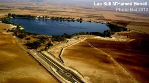 Algérie (Ain Trid/Sidi Bel-Abbès) -  Forte affluence au parc de loisirs «Tessala Land»