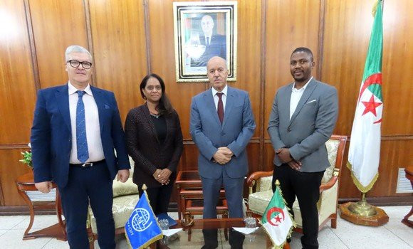 La Représentante de l'OIM salue les efforts de l'Algérie dans la prise en  charge des réfugiés