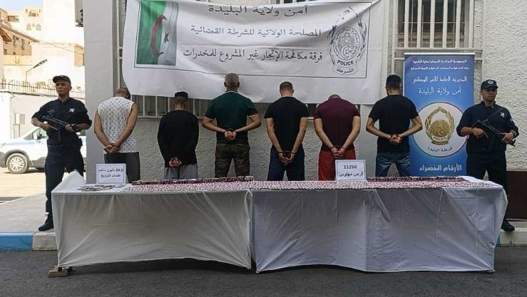 شرطة البليدة توقف 06 أشخاص ينشطون في ترويج المخدرات