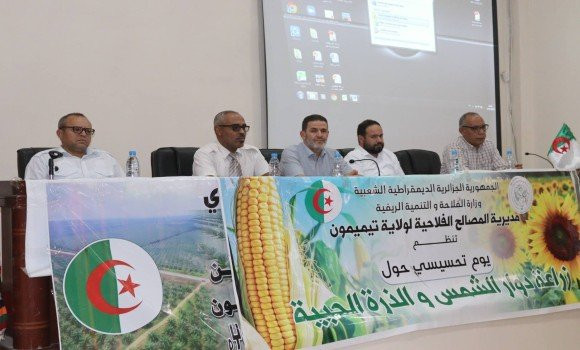 Timimoun : journée d'information et de sensibilisation sur la culture du tournesol et du maïs en grain