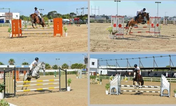 Grand concours national de saut d'obstacles 