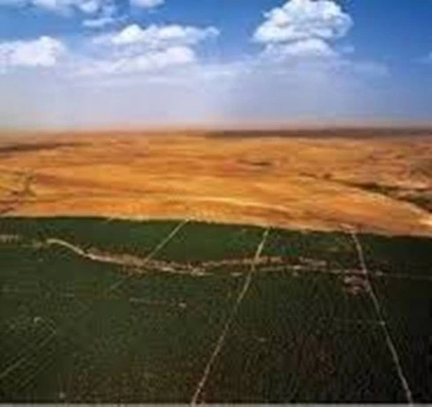 محافظة الغابات  بالبيض بعث  برنامج السد الأخضر  عبر 16 بلدية