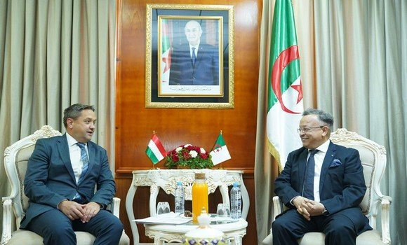 Algerie-Hongrie: les opportunités de coopération universitaire et scientifique examinées