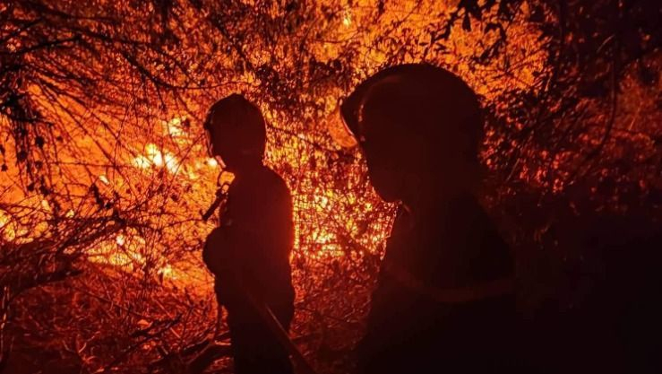 الحماية المدنية: إخماد حريق بومرداس دون تسجيل خسائر بشرية