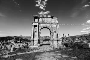 Le Collectif ALTAVA : Sauvegarder et Valoriser le Patrimoine Algérien