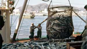 Baisse sensible des infractions  liées à la pêche