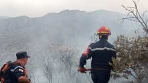 حرائق غابات: إخماد 22 حريقًا عبر 12 ولاية